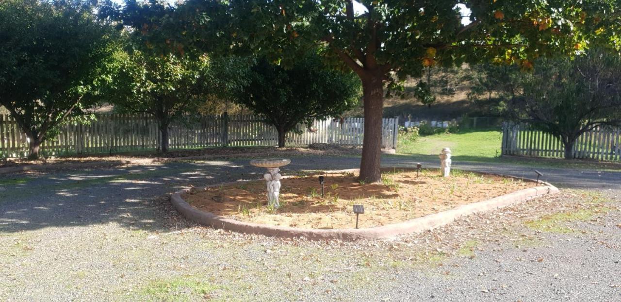 Dixiglen Farm Bed & Breakfast Dixons Creek ภายนอก รูปภาพ